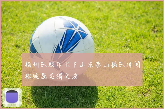 扬州队驳斥买下山东泰山梯队传闻称纯属无稽之谈
